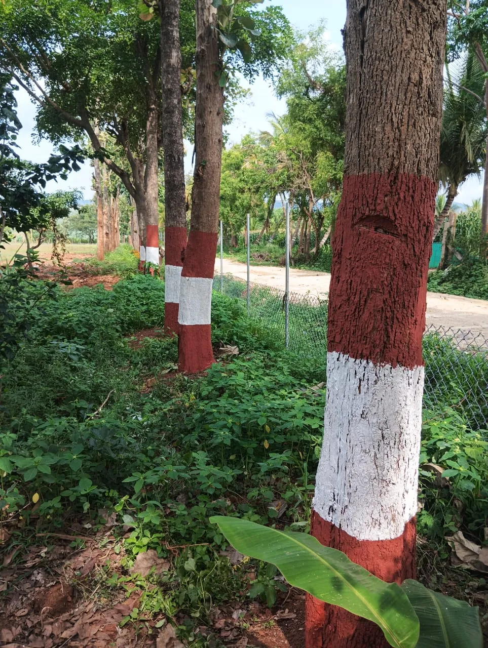 Krushi Bhoomi Farms photo 2