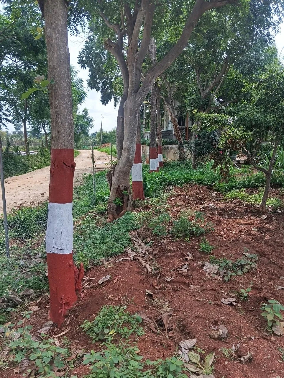 Krushi Bhoomi Farms photo 7