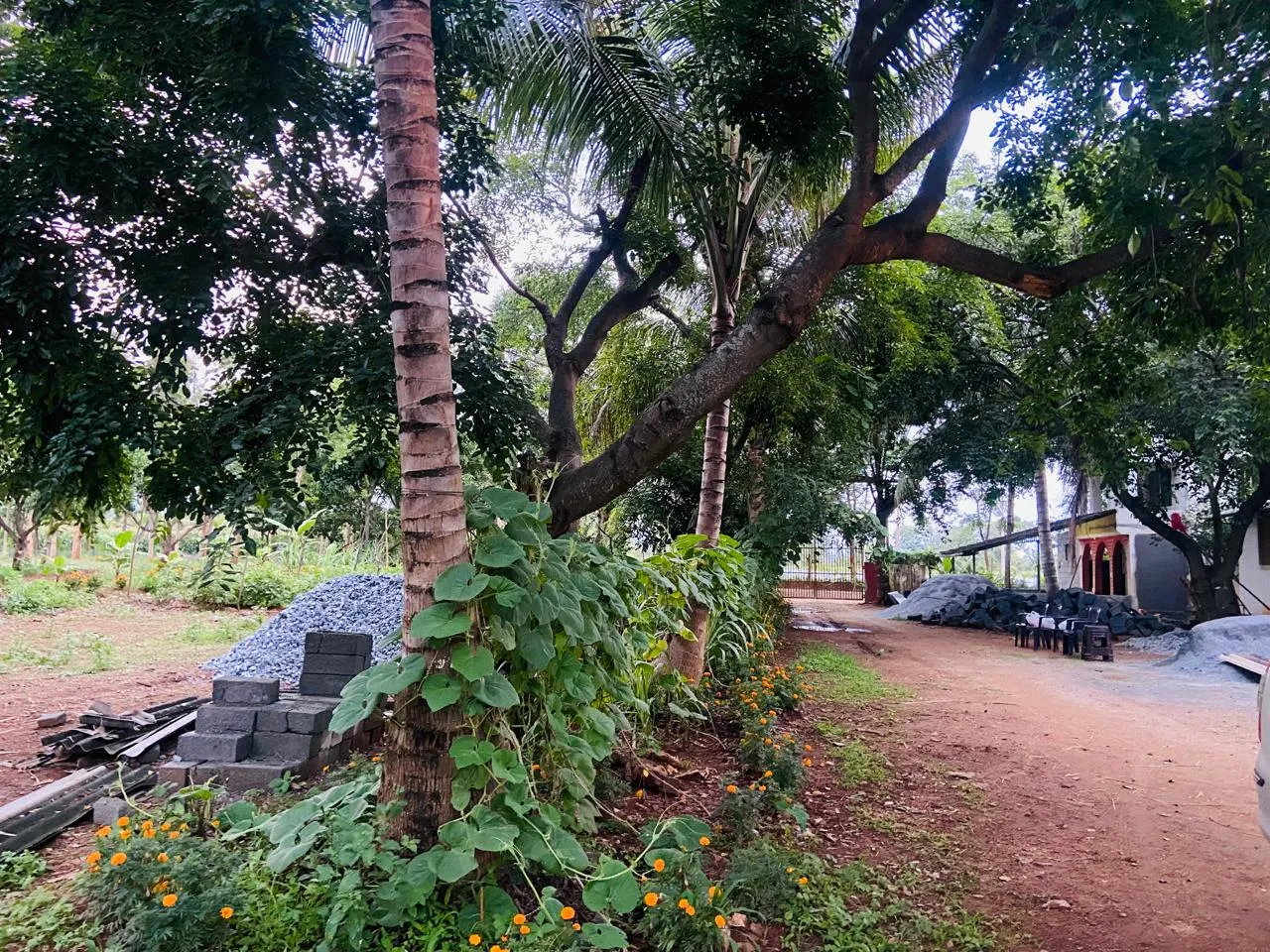 Krushi Bhoomi Farms photo 25