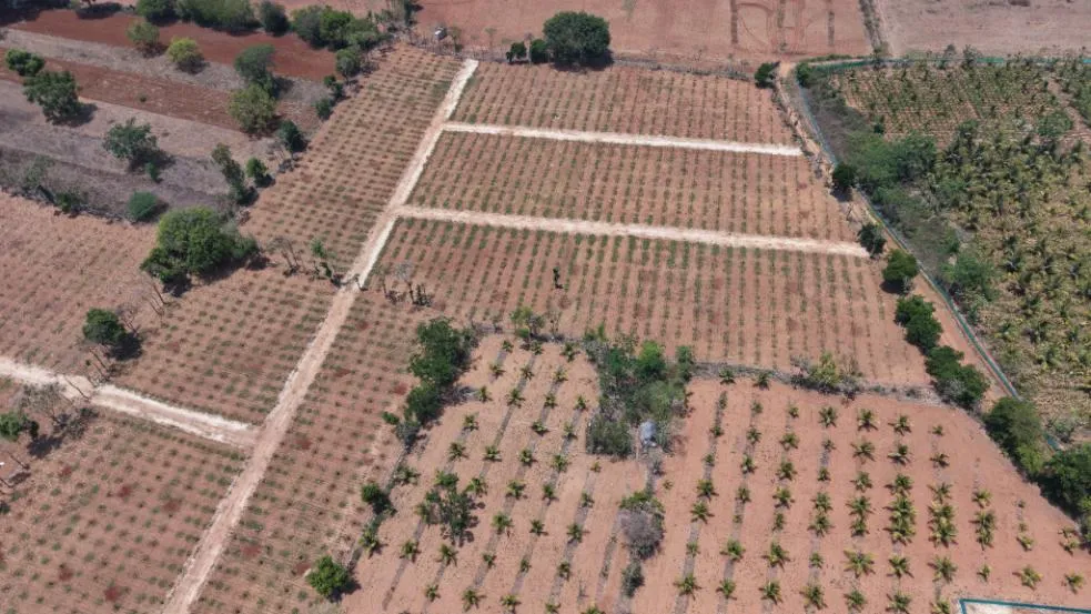 Aerial farmland photo 40